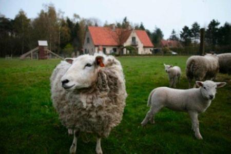 B&B Heerlijkhyd Hertsberge Екстер'єр фото